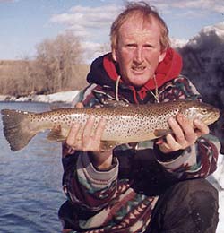 browntrout.jpg